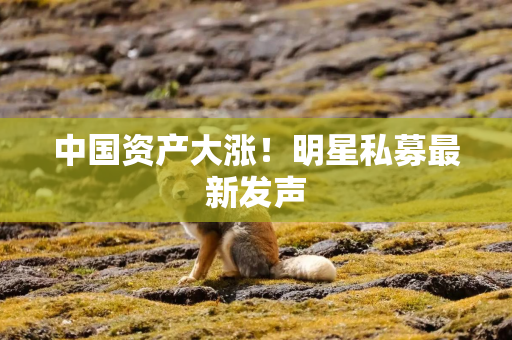 中国资产大涨！明星私募最新发声