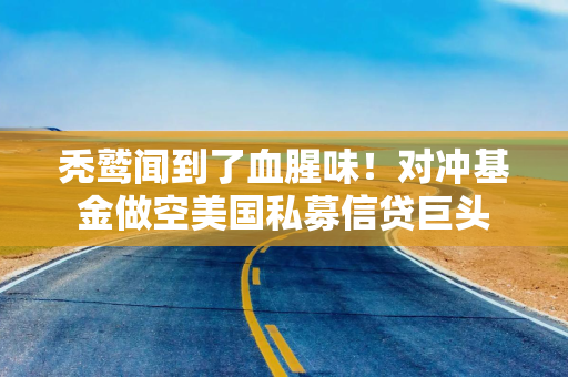 秃鹫闻到了血腥味！对冲基金做空美国私募信贷巨头