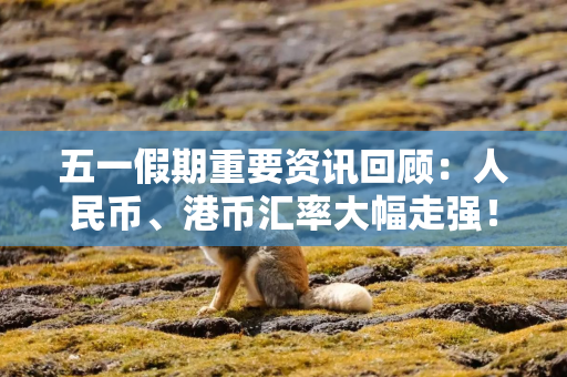 五一假期重要资讯回顾：人民币、港币汇率大幅走强！巴菲特年度股东大会召开！蓝佛安解读2024财政新政