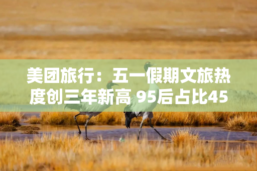 美团旅行：五一假期文旅热度创三年新高 95后占比45％