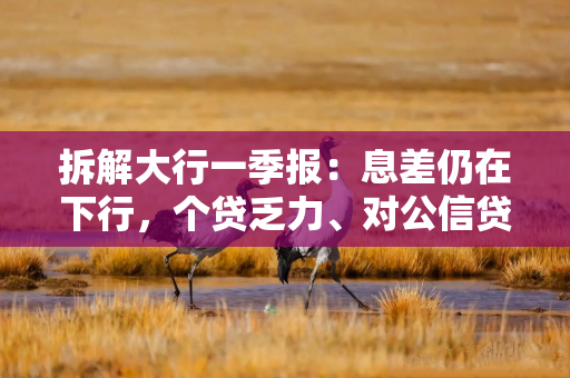 拆解大行一季报：息差仍在下行，个贷乏力、对公信贷支撑扩张
