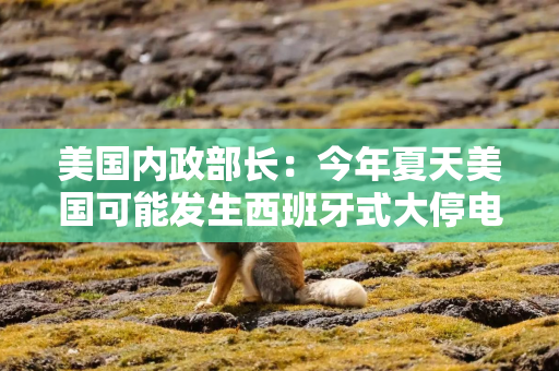 美国内政部长：今年夏天美国可能发生西班牙式大停电，全怪拜登