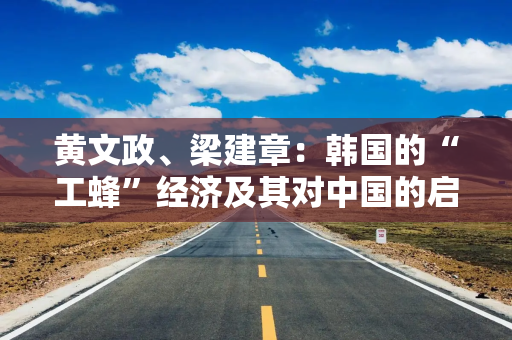 黄文政、梁建章：韩国的“工蜂”经济及其对中国的启示