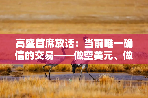 高盛首席放话：当前唯一确信的交易——做空美元、做多黄金！