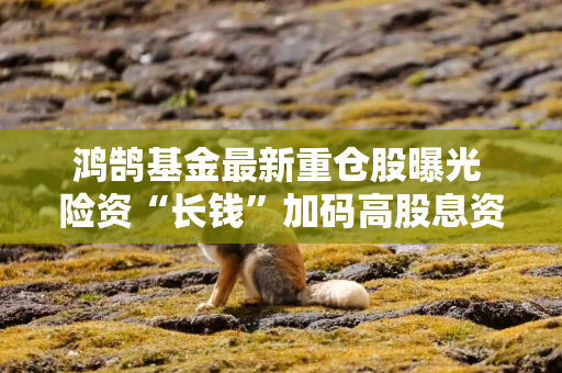 鸿鹄基金最新重仓股曝光 险资“长钱”加码高股息资产