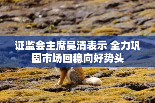 证监会主席吴清表示 全力巩固市场回稳向好势头