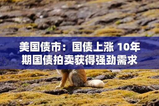 美国债市：国债上涨 10年期国债拍卖获得强劲需求