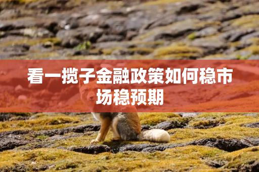 看一揽子金融政策如何稳市场稳预期