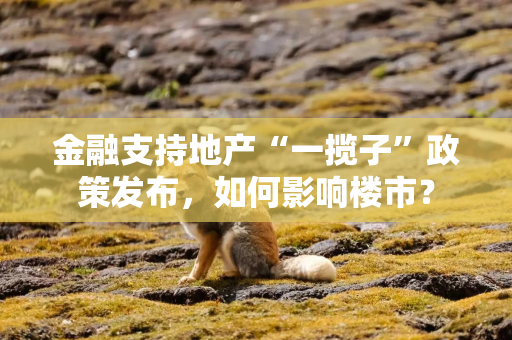 金融支持地产“一揽子”政策发布，如何影响楼市？