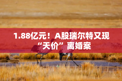 1.88亿元！A股瑞尔特又现“天价”离婚案