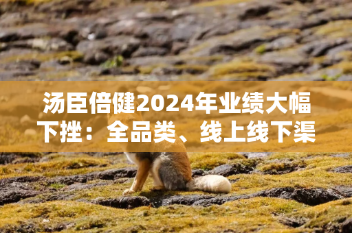 汤臣倍健2024年业绩大幅下挫：全品类、线上线下渠道销售额下滑  销售费用率44%创新高