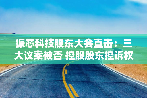 振芯科技股东大会直击：三大议案被否 控股股东控诉权利受阻