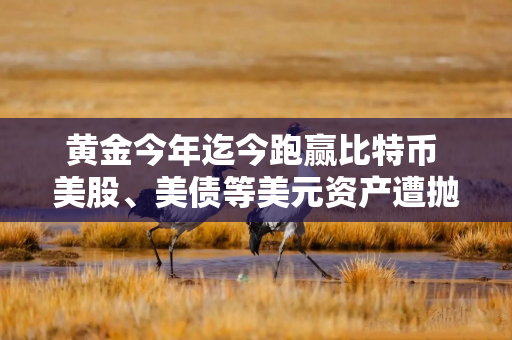 黄金今年迄今跑赢比特币 美股、美债等美元资产遭抛售