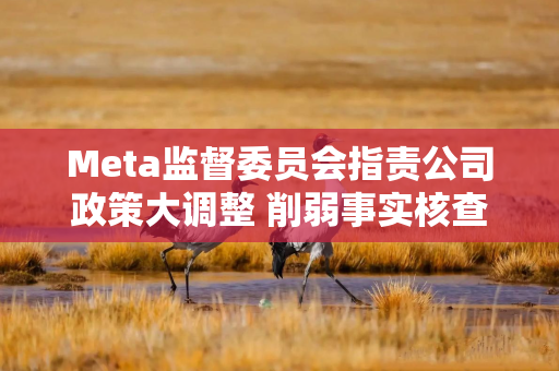 Meta监督委员会指责公司政策大调整 削弱事实核查与争议话题管控