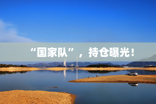 “国家队”，持仓曝光！