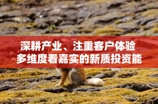 深耕产业、注重客户体验 多维度看嘉实的新质投资能力