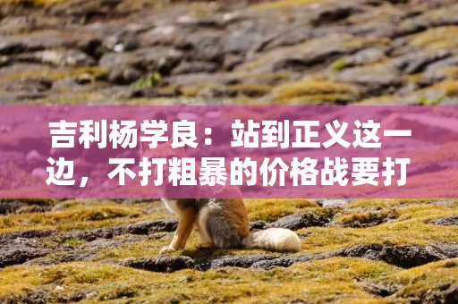 吉利杨学良：站到正义这一边，不打粗暴的价格战要打高质量的价格战