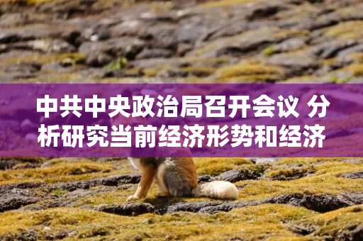 中共中央政治局召开会议 分析研究当前经济形势和经济工作 中共中央总书记习近平主持会议