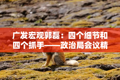 广发宏观郭磊：四个细节和四个抓手——政治局会议精神学习理解