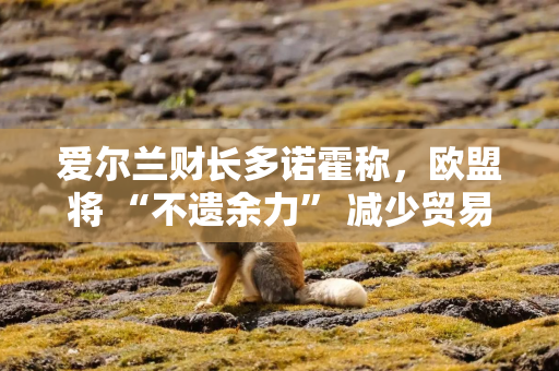 爱尔兰财长多诺霍称，欧盟将 “不遗余力” 减少贸易相关的不确定性