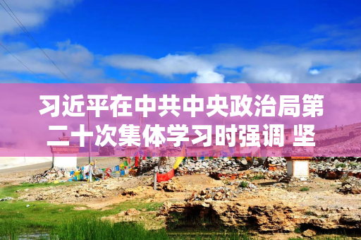 习近平在中共中央政治局第二十次集体学习时强调 坚持自立自强 突出应用导向 推动人工智能健康有序发展