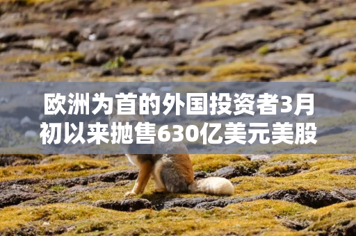 欧洲为首的外国投资者3月初以来抛售630亿美元美股 高盛：暂不认为是恐慌性抛售