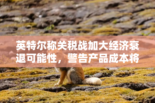 英特尔称关税战加大经济衰退可能性，警告产品成本将上升