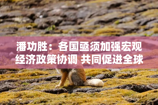 潘功胜：各国亟须加强宏观经济政策协调 共同促进全球经济金融稳定