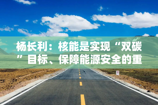 杨长利：核能是实现“双碳”目标、保障能源安全的重要战略选择