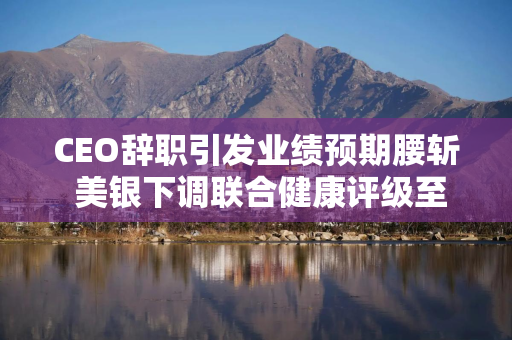 CEO辞职引发业绩预期腰斩 美银下调联合健康评级至“中性”