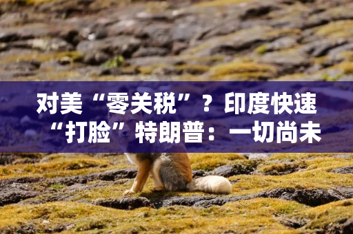 对美“零关税”？印度快速“打脸”特朗普：一切尚未有定论！