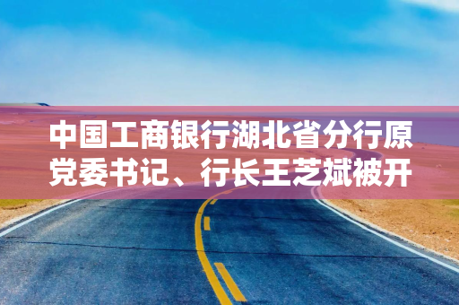 中国工商银行湖北省分行原党委书记、行长王芝斌被开除党籍