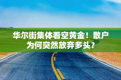 华尔街集体看空黄金！散户为何突然放弃多头？