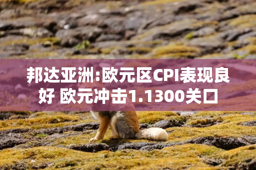 邦达亚洲:欧元区CPI表现良好 欧元冲击1.1300关口
