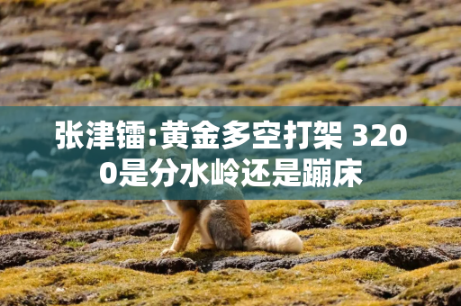 张津镭:黄金多空打架 3200是分水岭还是蹦床