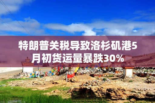 特朗普关税导致洛杉矶港5月初货运量暴跌30%