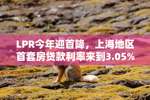 LPR今年迎首降，上海地区首套房贷款利率来到3.05%