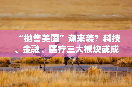 “抛售美国”潮来袭？科技、金融、医疗三大板块或成避风港