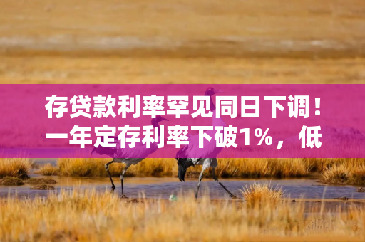 存贷款利率罕见同日下调！一年定存利率下破1%，低于货基