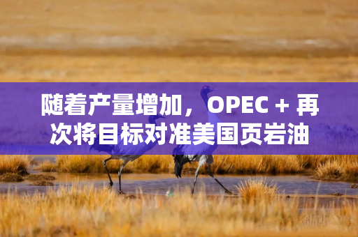 随着产量增加，OPEC + 再次将目标对准美国页岩油