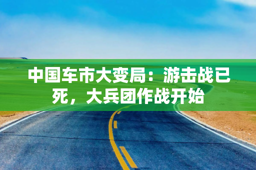 中国车市大变局：游击战已死，大兵团作战开始