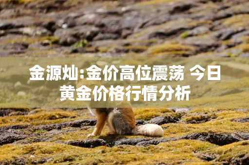 金源灿:金价高位震荡 今日黄金价格行情分析