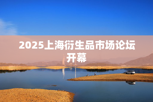 2025上海衍生品市场论坛开幕