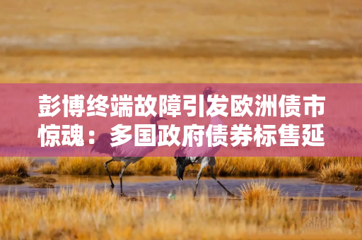 彭博终端故障引发欧洲债市惊魂：多国政府债券标售延迟