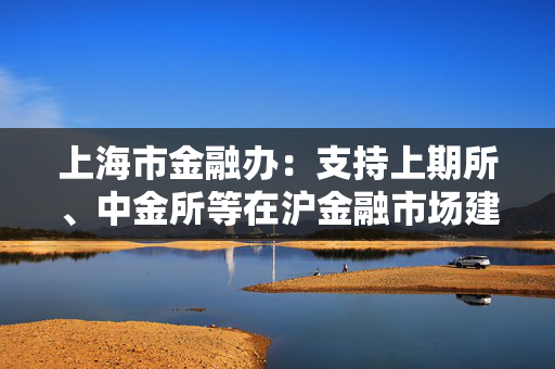 上海市金融办：支持上期所、中金所等在沪金融市场建设世界一流交易所
