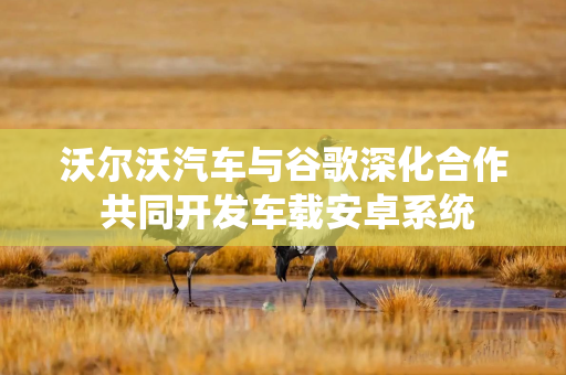 沃尔沃汽车与谷歌深化合作 共同开发车载安卓系统