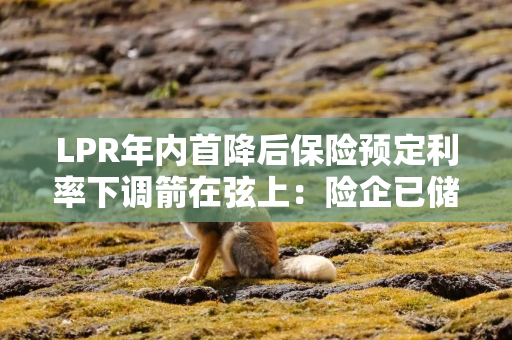 LPR年内首降后保险预定利率下调箭在弦上：险企已储备新品 长期险保费将迎新一轮上涨