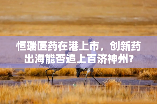 恒瑞医药在港上市，创新药出海能否追上百济神州？