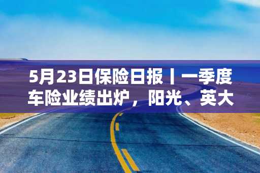 5月23日保险日报丨一季度车险业绩出炉，阳光、英大等21家险企保费萎缩引领格局大变，手回集团招股