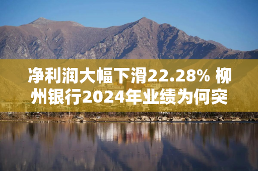 净利润大幅下滑22.28% 柳州银行2024年业绩为何突然“变脸”？